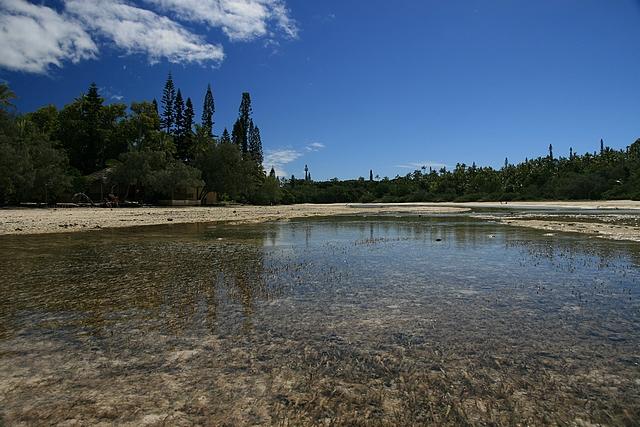 Oro-ile des pins (5).jpg